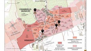 chambolle musigny ワイン