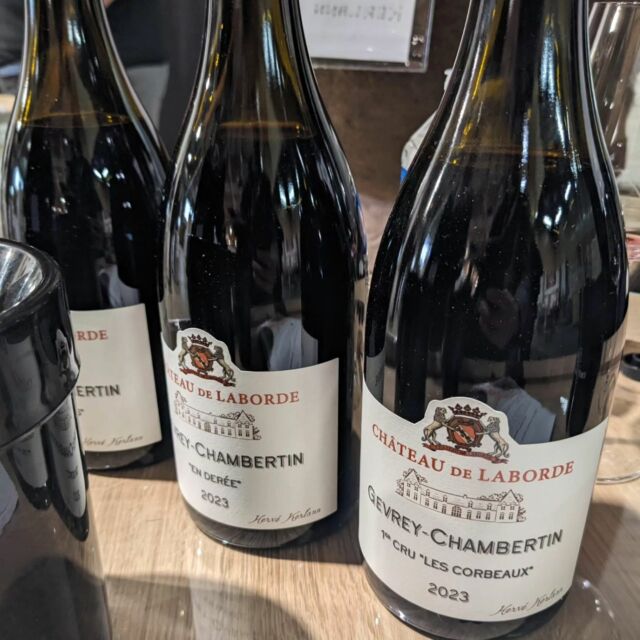 Gevrey-Chambertin Aux-Etelois - Herve Kerlann Bourgogne