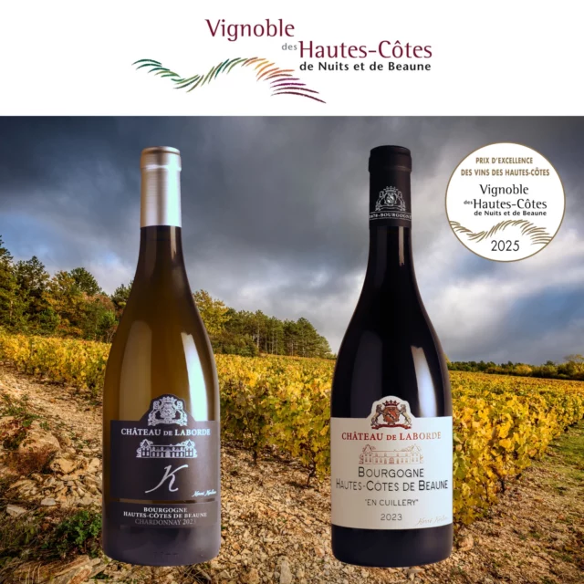 Château de Laborde Bourgogne 2020 2020 Château de Laborde Bourgogne Hautes-Côtes de Beaune En